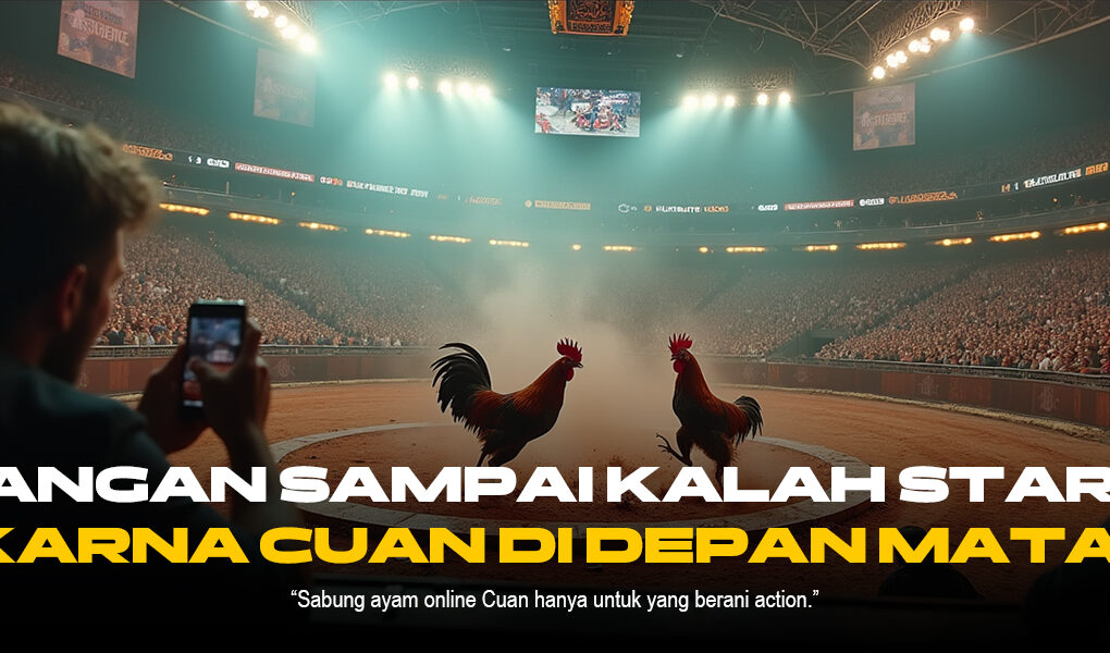 Mengenal Ayam Bangkok: Raja Sabung Ayam di SV388