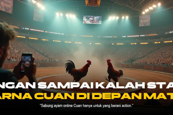 Mengenal Ayam Bangkok: Raja Sabung Ayam di SV388