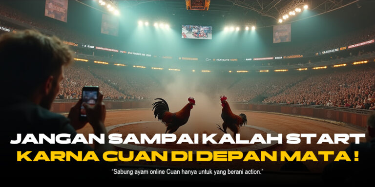 Mengenal Ayam Bangkok: Raja Sabung Ayam di SV388