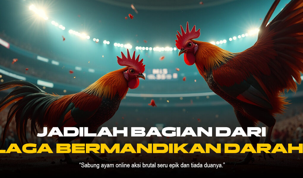 Mengenal Keunikan Jenis Ayam Aduan dalam Sabung Ayam SV388