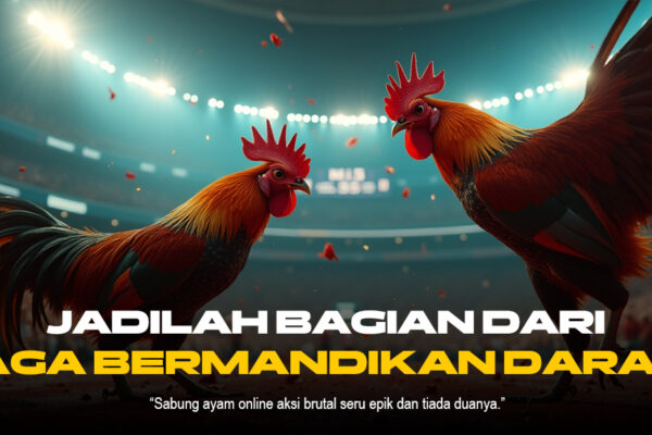 Mengenal Keunikan Jenis Ayam Aduan dalam Sabung Ayam SV388