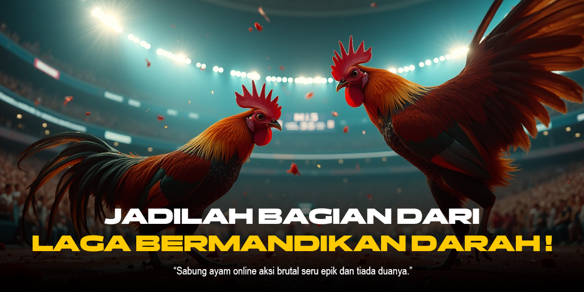 Mengenal Keunikan Jenis Ayam Aduan dalam Sabung Ayam SV388