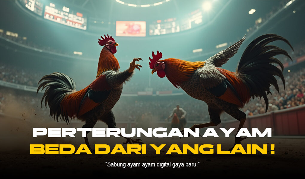 Mengupas Tuntas Sabung Ayam SV388: Jenis, Peluang, dan Provider Terpercaya