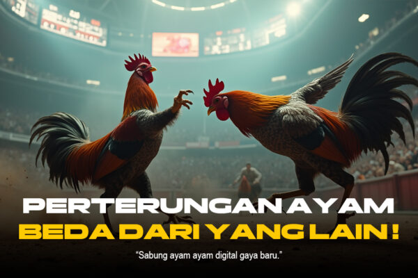 Mengupas Tuntas Sabung Ayam SV388: Jenis, Peluang, dan Provider Terpercaya