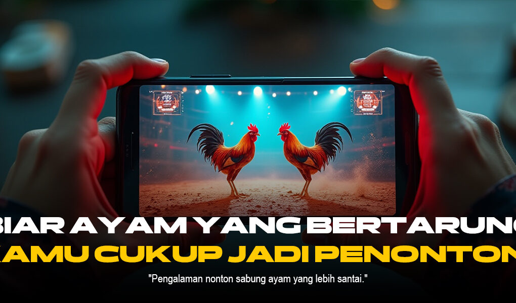 Mengenal Odds dan Jenis Ayam di Sabung Ayam SV388