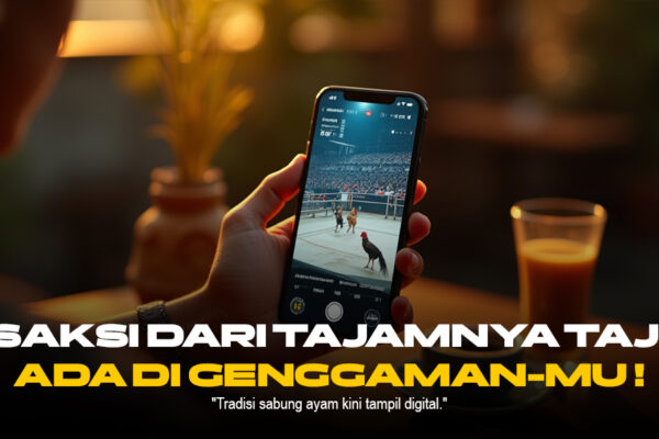 Rahasia Ayam Bangkok: Raja Sabung Ayam yang Wajib Kamu Tahu