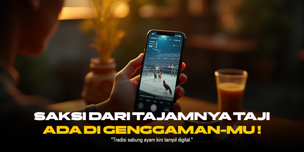 Rahasia Ayam Bangkok: Raja Sabung Ayam yang Wajib Kamu Tahu