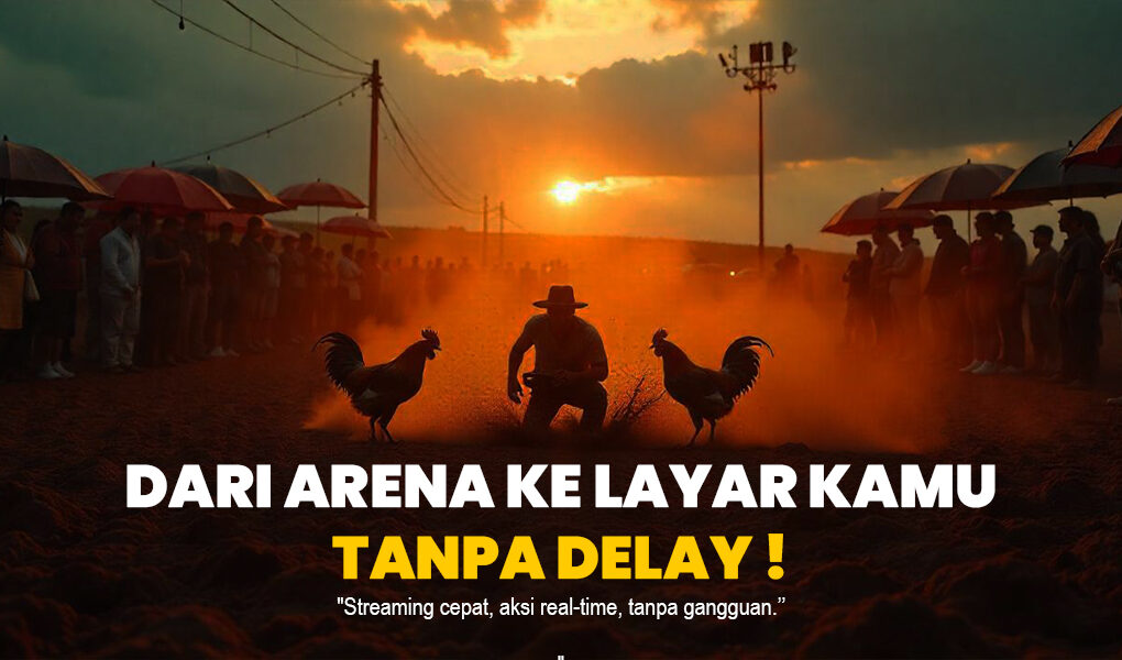 Mengenal Dunia Sabung Ayam: Tradisi, Aturan, dan Perkembangannya