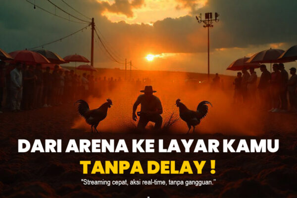 Mengenal Dunia Sabung Ayam: Tradisi, Aturan, dan Perkembangannya