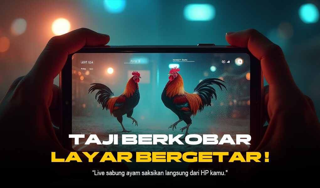 Sabung Ayam SV388: Jenis Ayam, Taruhan, dan Provider Terpercaya