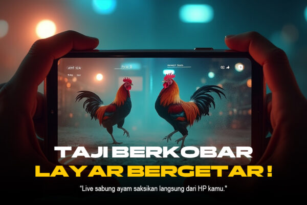 Sabung Ayam SV388: Jenis Ayam, Taruhan, dan Provider Terpercaya
