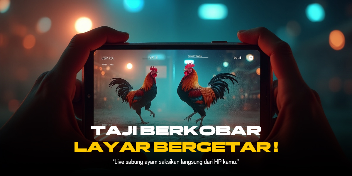 Sabung Ayam SV388: Jenis Ayam, Taruhan, dan Provider Terpercaya