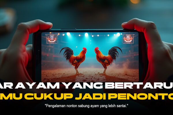 Mengenal Odds dan Jenis Ayam di Sabung Ayam SV388