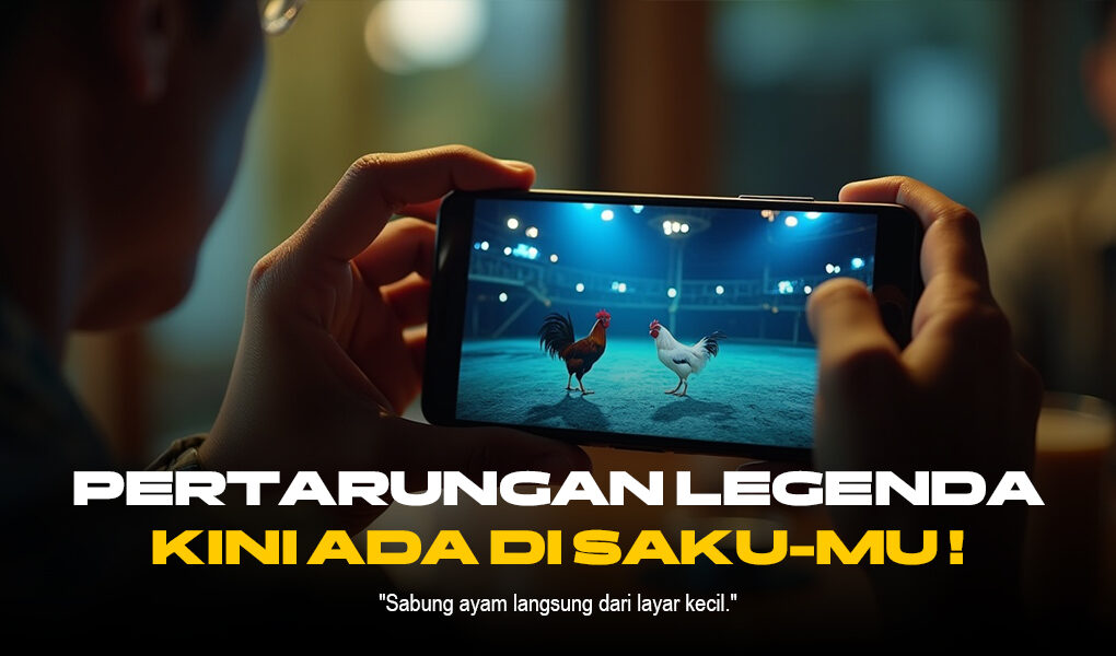 S128: Jenis Ayam Aduan dan Sistem Taruhan Sabung Ayam Modern