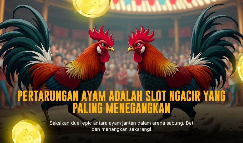 Mengenal Jenis Ayam Laga Pukul SV388, Si Raja Ring di Sabung Ayam