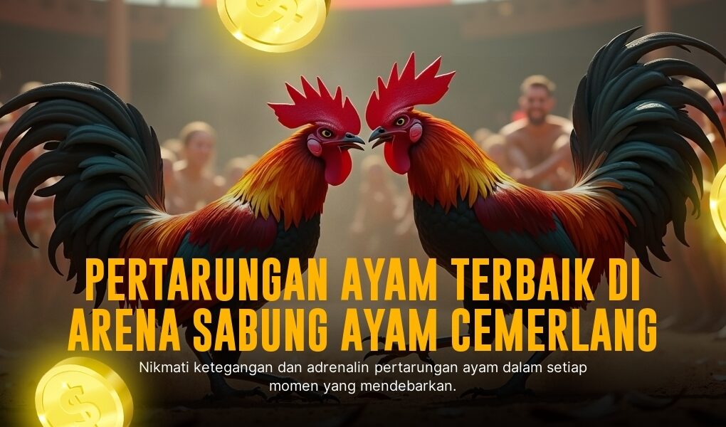Menyingkap Serunya Jenis Ayam Bangkok di Sabung Ayam SV388