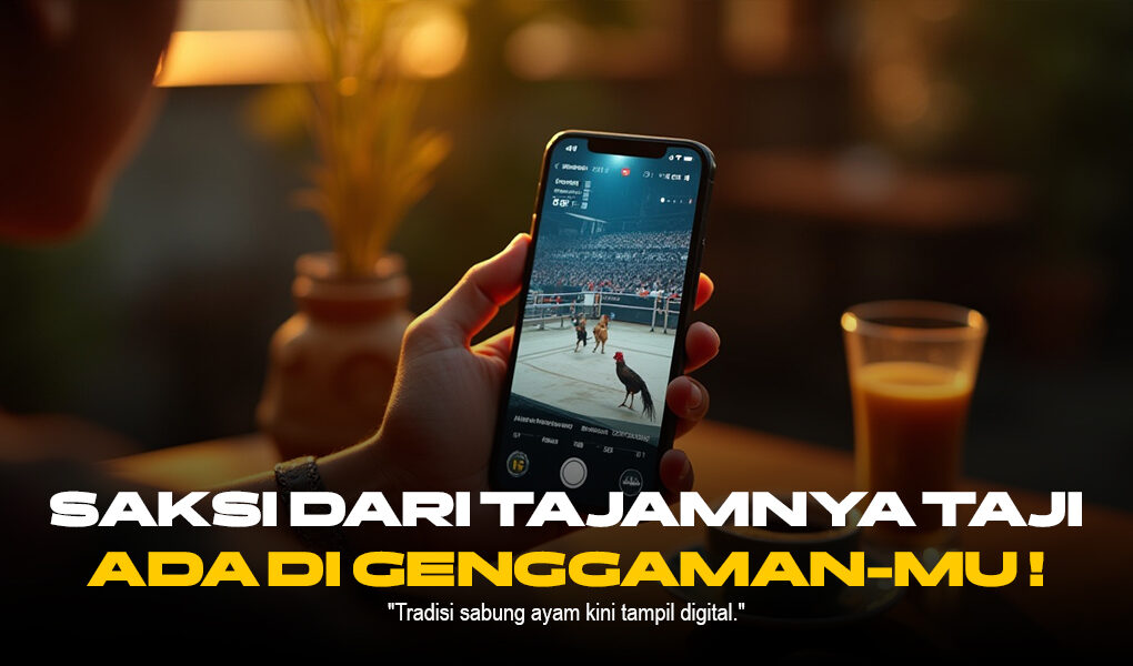 Rahasia Ayam Bangkok: Raja Sabung Ayam yang Wajib Kamu Tahu